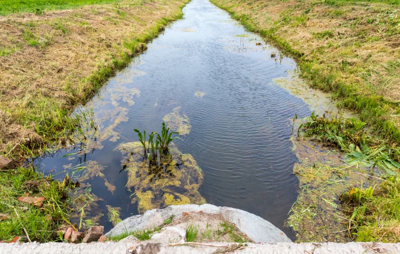 Rainwater Diversion in Birmingham, AL